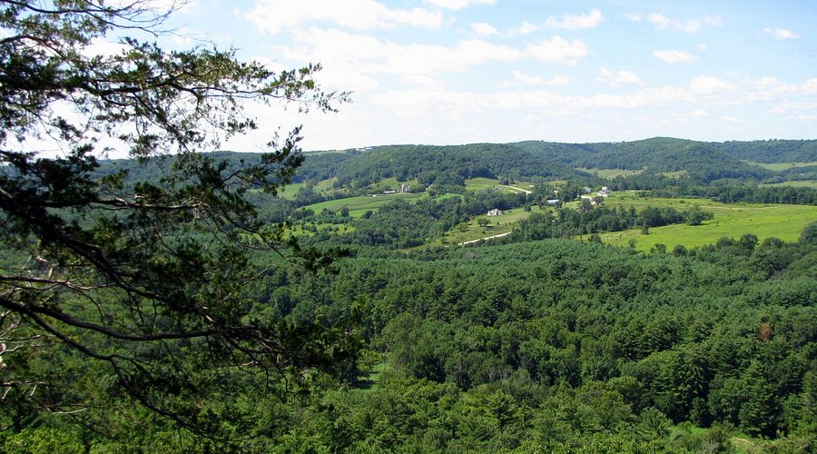 Town of Forest – Vernon County, Wisconsin
